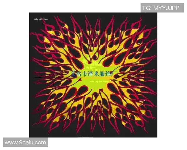 武汉街舞队的战术演变与转换体系探析